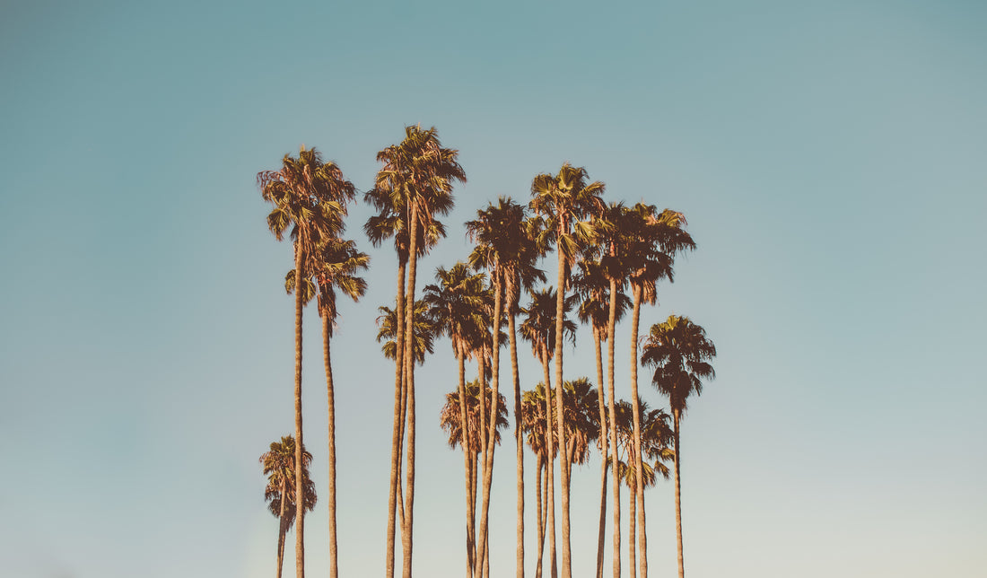 The Ugly Side of Fashion