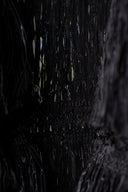 Steven Tyler's Black Fringe Coat
